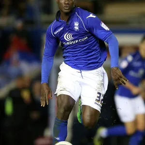 npower Football League Championship - Birmingham City v Crystal Palace - St. Andrew s