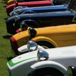 Row of Caterham Sevens at club meeting event