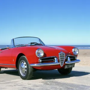 Alfa Romeo Guilietta Spider