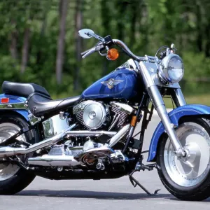 Harley-Davidson Fat Boy Print