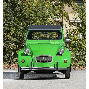 Citroen 2CV Charleston 1987 Green Print Citroen 2CV Charleston 1987 Green Print