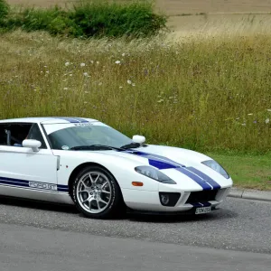 Ford GT, 2004, White, & blue