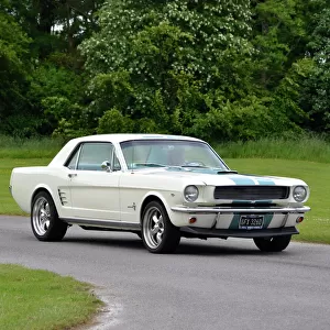 Ford Mustang 1966 White blue stripes