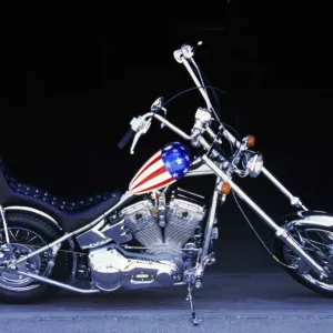 Harley-Davidson Captain Print. Art Prints, Posters & Puzzles from