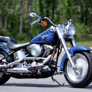 Popular Themes Jigsaw Puzzle Collection: Harley-Davidson