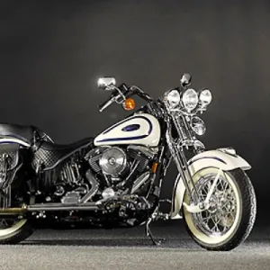 Harley Davidson Softail Springer