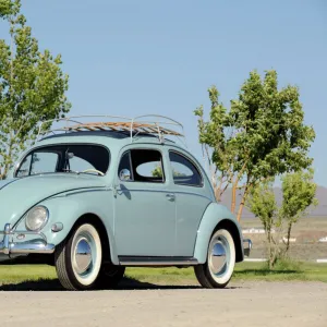 Volkswagen VW Beetle