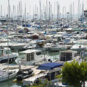 Boats moored at floating docks in harbour, Port d Alcudia, Alcudia, Majorca, Balearic Islands, Spain, September