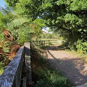 Fence and path at edge of heathland and woodland habitat, Poors Field, Ruislip Woods N. N. R