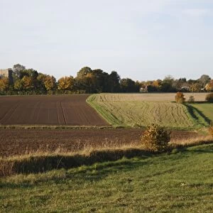 View of arable farmland with cultivated and fallow fields, church amongst trees in distance, St