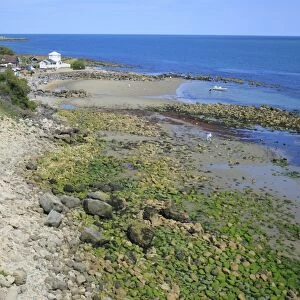 View of coastline and hamlet near seaside town, Steephill Cove, Steephill, Ventnor, Isle of Wight, England, july