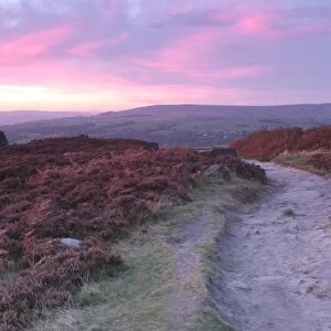 View of footpath on heather moorland at sunset, Ilkley Moor (SSSI), Rombalds Moor, Ilkley, Wharfedale, West Yorkshire