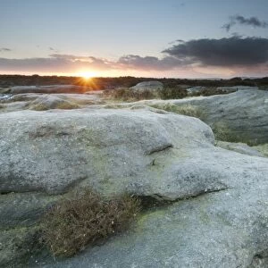 View of gritstone rocks on moorland habitat at sunset, Higger Tor, Dark Peak, Peak District N. P