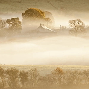 View of landscape shrouded in mist at sunrise, Trellech Grange, near Wye Valley, Monmouthshire, South Wales, December