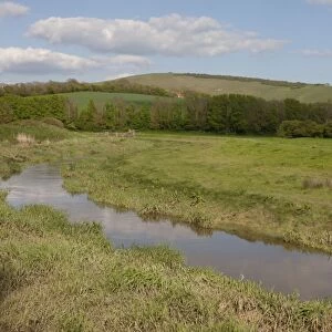 View of river flowing through river valley habitat, Cuckmere River, Alfriston, Wealden, East Sussex, England, May