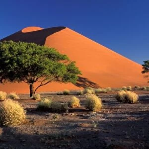 Africa, Namibia, Namib-Naukluff Park, Sossosvlei dunes