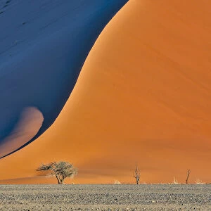 Africa, Namibia, Sossusvlei. Dune in the afternoon