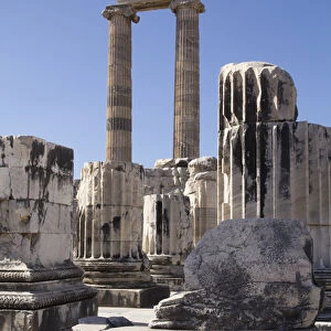 Asia, Turkey, the Archaeological Site of Didyma ruins. Didyma, means aAtwinaa in Greek