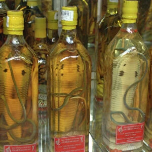 Asia, Vietnam. Snake wine for sale in a Saigon store, Ho Chi Minh City