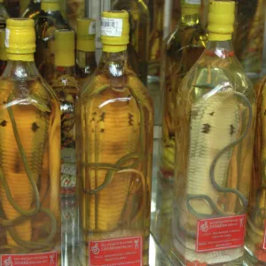 Asia, Vietnam. Snake wine for sale in a Saigon store, Ho Chi Minh City