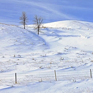 Canada, Saskatchewan, Willow Bunch. Snow-covered landscape