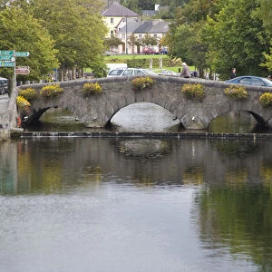 Canal, Bridge, Westport, Ireland, Flowers