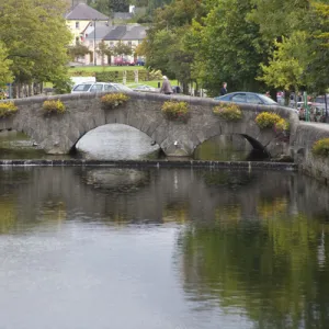 Canal, Bridge, Westport, Ireland, Flowers