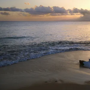 Caribbean, Puerto Rico, Vieques Island. Sunset at Green Beach