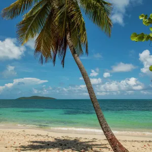 Cramer Park Beach, St. Croix, US Virgin Islands