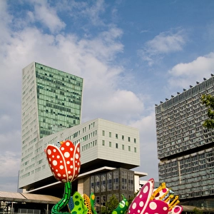 Display of lillies and modern architecture in the French city of Lille France