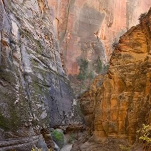 Echo Canyon, East Rim Trail, Zion National Park, near St. George, Utah