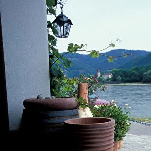Europe, Austria, Wachau region, Palt, Malat vineyard and winery