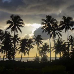 Fiji, Taveuni Island. Beach sunset with palm trees