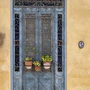 Three flower pots sit in wrought iron gate in front of blue door in Old Havana