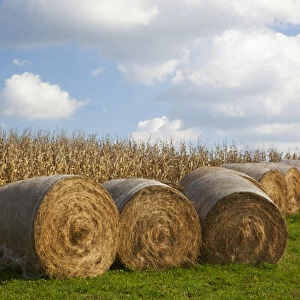 IA, Jackson County, Hay bales and corn