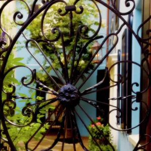 Iron entry, Rainbow row, Historic Charleston, SC