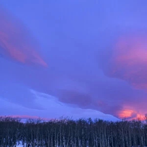 Lenticular Clouds above aspen grove near Baab Montana