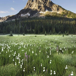 Liberty Bell Mountain seen from meadows of Washington Pass, North Cascades, Washington