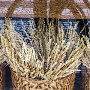 Portugal, Lisbon. Dried wheat stalks in the window of a bakery