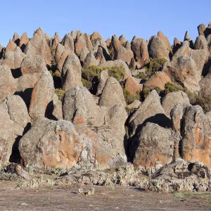 The Rafu Lava Flow with its bizarre rock formations, Sanetti Plateau