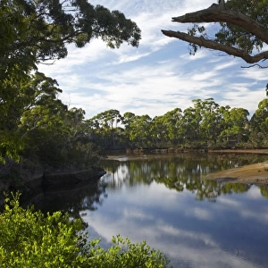 Reflections in Inglis River, Wynyard, North Western Tasmania, Australia