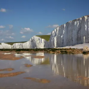 Seven Sisters Chalk Cliffs, Birling Gap, East Sussex, England, United Kingdom