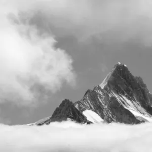 Shreckhorn summit, 3741 m. from Faulhorn, Bernese Alps, Switzerland