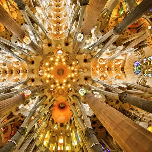 Spain, Barcelona. Sagrada Familia ceiling