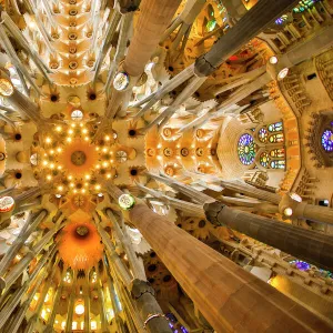 Spain, Barcelona. Sagrada Familia ceiling