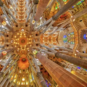 Spain, Barcelona. Sagrada Familia interior