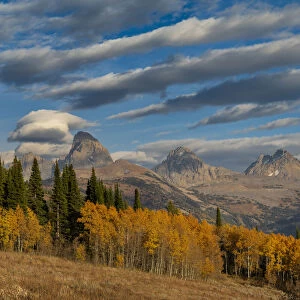 Streaky cirrus and cumulus clouds complement Golden Aspens with Grand