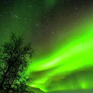 Sweden, Norrbotten, Abisko. Aurora Borealis (Northern Lights) over Abisko Canyon