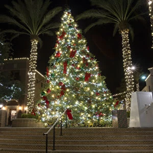 USA, Arizona, Buckeye. Christmas tree in the village square at night