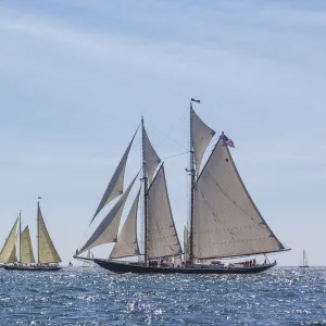 USA, Massachusetts, Cape Ann, Gloucester. Gloucester Schooner Festival